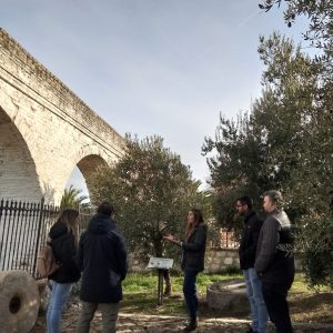 Entrada al Museo de la Cultura del Olivo con Audioguía (ES/IN/FR/GER) + Degustación de Aceites