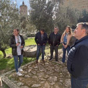 Oleoturismo ‘Hacienda La Laguna’ + Visita Guiada al Museo + Taller de Iniciación a la Cata de Aceites
