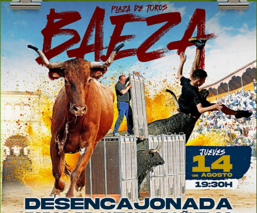 Desencajonada y Suelta de Vaquillas